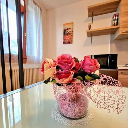 Al Borghetto Di Elena Con Garage 公寓 *